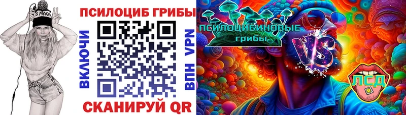 Галлюциногенные грибы Magic Shrooms  наркотики  Зеленоградск 