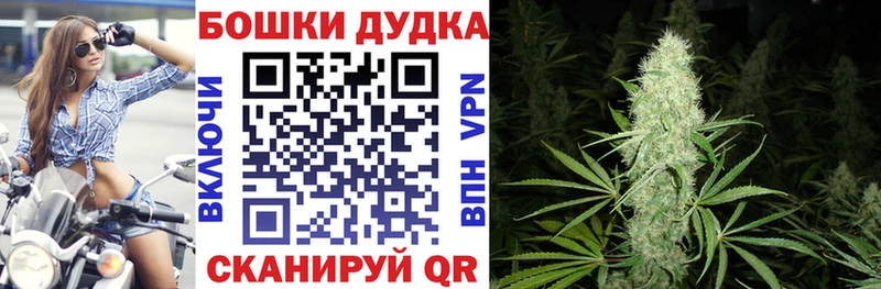 купить закладку  Зеленоградск  Конопля VHQ 